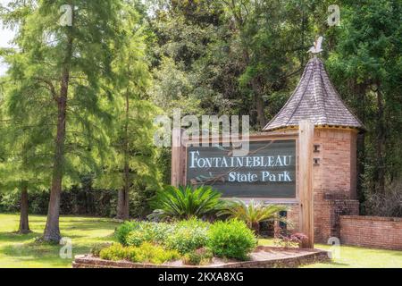 Fontainebleau state Park, un tempo piantagione di piantatrice creola Bernard de Marigny, Mandeville, Louisiana, St Tammany Parish, USA. Foto Stock