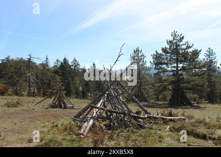 Rami disposti in una tenda o falò, in un parco nazionale in Serbia, in un giorno d'estate Foto Stock