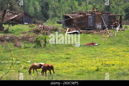 Tornado - Cartersville, GA. , 12 maggio 2011 Bartow County cavalli pascolo di fronte ad una casa gravemente danneggiata e fienile. La zona ha perso numerose case e piccole imprese da un tornado che ha toccato il 27 aprile 2011. Judith Grafe/FEMA foto. Georgia gravi tempeste, tornado, venti in linea retta e le relative alluvioni. Fotografie relative a disastri e programmi, attività e funzionari di gestione delle emergenze Foto Stock