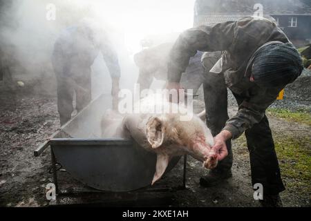 Un uomo pulisce un maiale macellato con acqua di boulinig durante un tradizionale macello di maiale a Glina, Croazia, il 08 dicembre 2019. Foto: Josip Regovic/PIXSELL Foto Stock