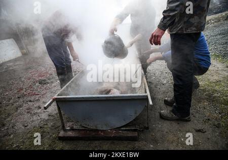 Un uomo pulisce un maiale macellato con acqua di boulinig durante un tradizionale macello di maiale a Glina, Croazia, il 08 dicembre 2019. Foto: Josip Regovic/PIXSELL Foto Stock