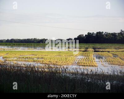 Allagamento - Burleigh County, N. D., 1 luglio 2011 Un campo allagato si erge silenzioso nelle terre di fondo del fiume Missouri. Gli aiuti per la disoccupazione in caso di catastrofi sono a disposizione degli agricoltori e dei lavoratori autonomi che non sono in grado di lavorare a causa di catastrofi. Brian Hvinden/FEMA. Alluvione del North Dakota. Fotografie relative a disastri e programmi, attività e funzionari di gestione delle emergenze Foto Stock