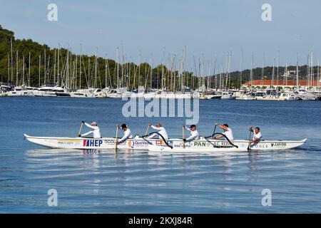 Il team Argonauts di Bjelovar è arrivato a Rogoznica, in Croazia, durante il progetto 'Adriatico senza fiato', il 21 ottobre 2020. Hanno in programma di fare 650 chilometri in una canoa a sei posti da Prevlaka a Savudrija in otto giorni. Il progetto avrebbe dovuto iniziare a maggio, ma è stato rimandato a causa della pandemia, quindi iniziano a canottare da Prevlaka lunedì 19 ottobre 2020. Con questo progetto, Agronauts sta cercando di rendere il pubblico consapevole che ci sono persone con una rara malattia di ipertensione polmonare che perdono il respiro ogni giorno. Foto: Hrvoje Jelavic/PIXSELL Foto Stock