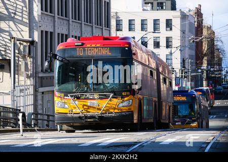 Seattle - 22 Gennaio 2022; autobus della Metropolitana della Contea di King con destinazione al Terminal in Seattle City Street Foto Stock