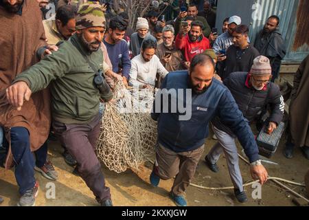 Srinagar, India. 29th Nov 2022. Funzionari della fauna selvatica e locali visti portare il leopardo tranquillo a Chadoora Budgam. Gli ufficiali della fauna selvatica hanno detto che il leopardo aveva preso riparo sotto un veicolo, generando panico tra i residenti, più tardi un gruppo di esperti tranquillizzò il leopardo e lo ha spostato in un santuario sicuro. (Foto di Faisal Bashir/SOPA Images/Sipa USA) Credit: Sipa USA/Alamy Live News Foto Stock