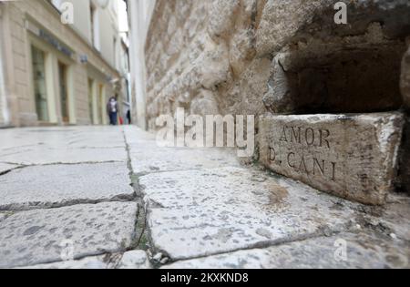 La foto scattata il 22 gennaio 2021 mostra il foro di irrigazione, ciotola di pietra nella parete della facciata in via Sibenik città vecchia, con segno latino AMOR D CANI. Buco è fatto per fornire acqua potabile per cani (e gatti) ed è regolarmente riempito di acqua. Ciotola di pietra sono stati creati nel 16th ° secolo Foto: Dusko Jaramaz/PIXSELL Foto Stock