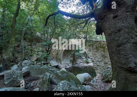 Vecchio ponte romano nella gola di Spelunca, una destinazione popolare per escursioni lungo un vecchio sentiero romano a piedi sull'isola di Corsica in Francia Foto Stock