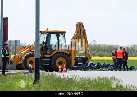 Un camion che trasportava birra è stato lasciato senza parte del suo carico sulla rotonda del Cepin bypass a Osijek, Croazia il 29 aprile 2021. Spostandosi verso l'ingresso dell'autostrada, le casse piene di birra sono cadute dal camion. Foto: Dubravka Petric/PIXSELL Foto Stock