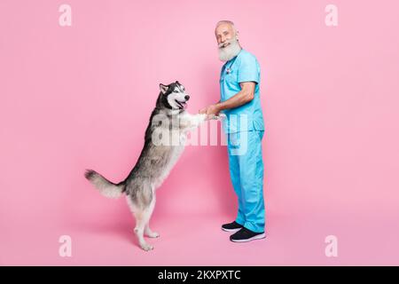Foto di dimensioni complete di tipo ottimista medico pensionato indossare blu uniforme tenere zampe di Husky esame isolato su sfondo di colore rosa Foto Stock