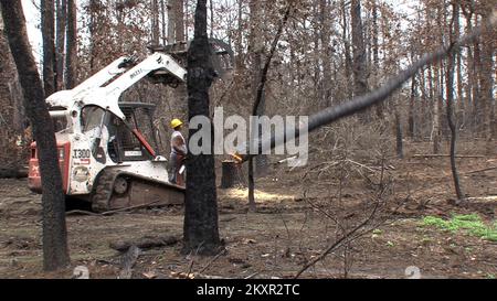 Rimozione di alberi pericolosi. Texas Wildfire. Fotografie relative a disastri e programmi, attività e funzionari di gestione delle emergenze Foto Stock