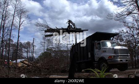 Rimozione di alberi pericolosi. Texas Wildfire. Fotografie relative a disastri e programmi, attività e funzionari di gestione delle emergenze Foto Stock