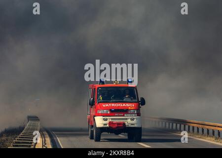 12 agosto 2021, Pola - Un incendio scoppiò nelle più ampie vicinanze di Pola, più precisamente tra Sikici e Skatari, che si estinguette con successo con l'aiuto di pompieri di Pola, Medulin, Fazana, Galizana e altri DVD, e infine canadesi. Foto: Srecko Niketic/PIXSELL Foto Stock