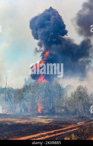 12 agosto 2021, Pola - Un incendio scoppiò nelle più ampie vicinanze di Pola, più precisamente tra Sikici e Skatari, che si estinguette con successo con l'aiuto di pompieri di Pola, Medulin, Fazana, Galizana e altri DVD, e infine canadesi. Foto: Srecko Niketic/PIXSELL Foto Stock