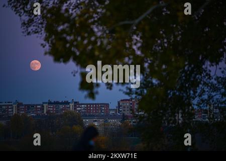 Luna piena sopra gli edifici residenziali a Zagabria, Croazia il 18 novembre 2021. Oggi il sole tramonta alle 4:22 e allo stesso tempo una luna piena è apparsa nel cielo. Foto: Igor soban/PIXSELL Foto Stock