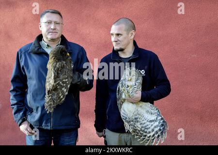 Due gufi feriti si stanno riprendendo allo zoo di Zagabria. I gufi ritorneranno alla natura quando si riprenderanno, a Zagabria, in Croazia, il 1 dicembre 2021. Foto: Sandra Simunovic/PIXSELL Foto Stock