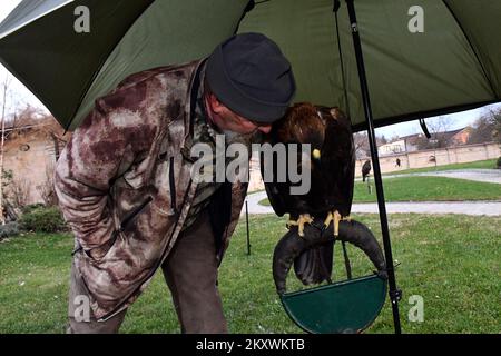 Allevatori e cacciatori che cacciano con aquile d'oro si sono riuniti a Nova Gradiska, Croazia, il 1 dicembre 2021. Foto: Ivica Galovic/ PIXSELL Foto Stock