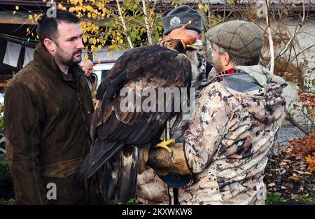 Allevatori e cacciatori che cacciano con aquile d'oro si sono riuniti a Nova Gradiska, Croazia, il 1 dicembre 2021. Foto: Ivica Galovic/ PIXSELL Foto Stock