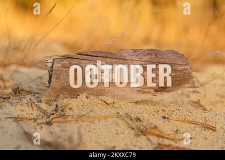 Stagioni. Sulla sabbia su uno sfondo di erba gialla, un cartello con l'iscrizione - OTTOBRE Foto Stock