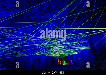 Midhurst, West Sussex, Regno Unito. 30th novembre 2022. Nella notte di Natale in anteprima a Cowdray, presso la storica tenuta del Cowdray Park, nel cuore del South Downs National Park, sono esposti splendidi sentieri leggeri. La magica esperienza immersiva mostra una serie di bellissime installazioni di arte luminosa su larga scala per catturare la magia di questo periodo più meraviglioso dell'anno. Rizoma. Credit: Carolyn Jenkins/Alamy Live News Foto Stock