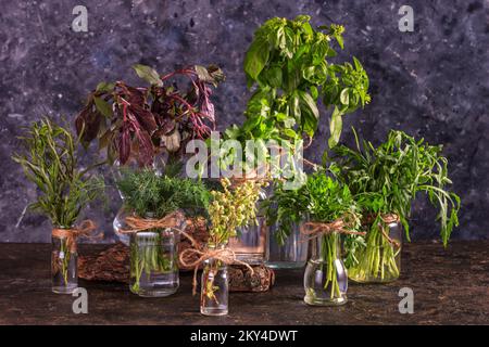 Cucina ancora vita in colori scuri - una vista di grappoli di erbe culinarie giardino fresco in piedi in vasi con acqua sul tavolo Foto Stock