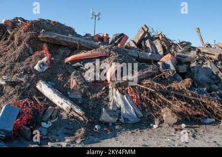 Queens, N.Y., 18 gennaio 2013 i detriti dell'uragano Sandy vengono processati presso il Jacob Riis Park, a far Rockaway, N.Y. dove gli Stati Uniti Il corpo degli ingegneri dell'esercito sta lavorando per pulirlo e smistarlo in pile per riciclarlo. Mucchi di detriti contenenti pali telefonici, tiranti ferroviari, alberi, 2x4 e altri oggetti aspettano di essere smistati. La FEMA fornisce finanziamenti per la rimozione dei detriti attraverso il programma di assistenza pubblica. K.C.WILSEY/FEMA. L'uragano Sandy di New York. Fotografie relative a disastri e programmi, attività e funzionari di gestione delle emergenze Foto Stock