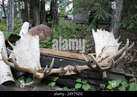 Hughes, Alaska, 8 luglio 2013 dopo una grave inondazione spazzata attraverso il fiume Koyukuk, detriti e proprietà personali si affacciano sul segno di alta linea di acqua in questo villaggio remoto. La FEMA sta rispondendo e ha un team che lavora con i sopravvissuti alle catastrofi, lo Stato dell'Alaska e le REAA (Regional Education Attendance Area) designate. Adam Dubrowa/ FEMA.. Fotografie relative a disastri e programmi, attività e funzionari di gestione delle emergenze Foto Stock