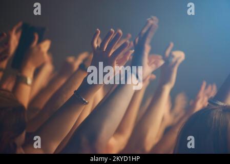 Sentire la musica. Una folla entusiasta che alza le mani e raggiunge la loro band preferita. Foto Stock