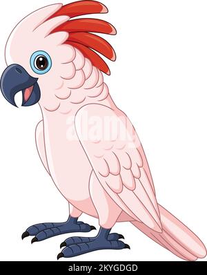 Cartone animato Molucco Pappagallo Cockatoo su sfondo bianco Illustrazione Vettoriale