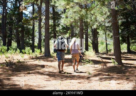 Esploratori di foresta. Ripresa di una coppia di escursioni insieme attraverso i boschi. Foto Stock