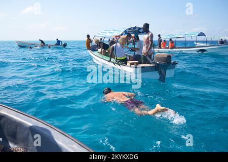 I turisti alla vista dei delfini che vedono i giri della barca inseguono i delfini nell'acqua per provare a nuotare con loro in un luogo al largo della costa dell'Atollo di Mnemba a Zanzibar, Foto Stock