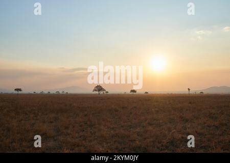 Il sole tramonta sulle pianure del parco nazionale Mikumi Foto Stock