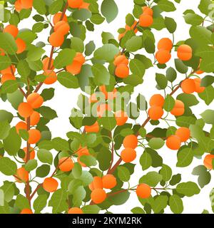 I rami sono albicocche spesse con frutti maturi. Pianta da giardino con raccolto commestibile. Composizione di pattern senza giunture. Ramo con fogliame e foglie. Isolato Illustrazione Vettoriale