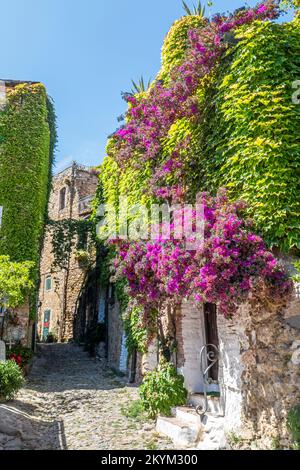 Bussana Vecchia, Italia - 04-07-2021: Antiche strade alle case di Bussana Vecchia danneggiate e sismiche con piante e fiori Foto Stock