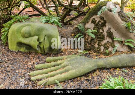 Moss Lady, una scultura nel Beacon Hill Park a Victoria, British Columbia, Canada. Foto Stock