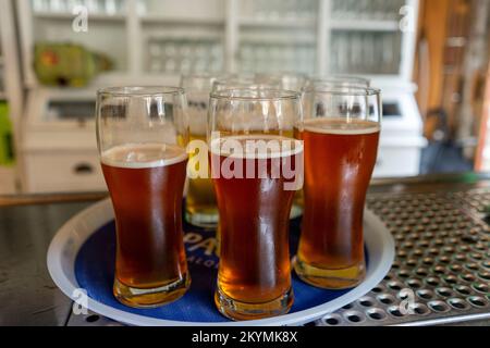 Vassoio di birre - lagers in Germania Foto Stock