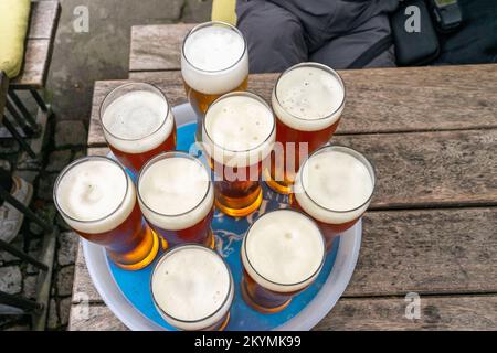 Vassoio di birre - lagers in Germania Foto Stock