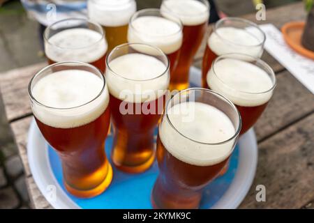 Vassoio di birre - lagers in Germania Foto Stock