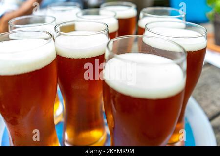 Vassoio di birre - lagers in Germania Foto Stock