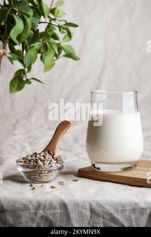 Latte di semi di girasole in vetro su fondo tessile con pianta. spazio di copia. Pasto di dieta cruda. Cibo vegetariano sano e stile di vita. prodotto ecologico Foto Stock