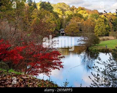 Viste panoramiche dell'Arboreto di Winkworth nel Surrey, Inghilterra Foto Stock