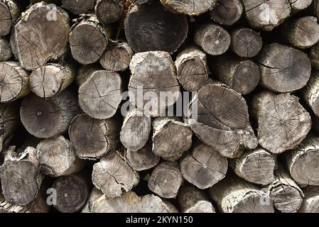 Un palo ordinatamente accatastato di fondo di legna da ardere Foto Stock