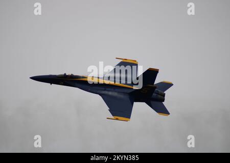 Blue Angel solo Jet con percorsi Vapor Foto Stock