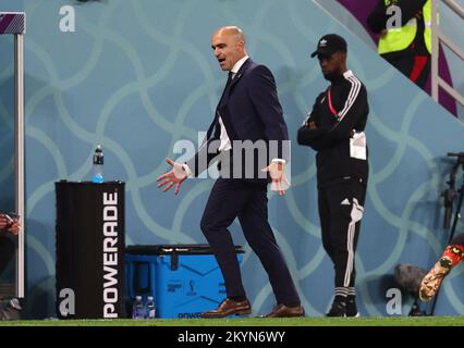 Al Rayyan, Qatar, 1st dicembre 2022. Roberto Martinez allenatore del Belgio reagisce durante la partita di Coppa del mondo FIFA 2022 allo stadio Ahmad bin Ali, al Rayyan. Il credito di foto dovrebbe essere: David Klein / Sportimage Foto Stock