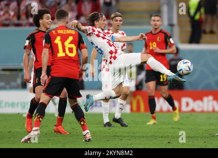 Al Rayyan, Catar. 01st Dec, 2022. Rayyan, Qatar. Credit: Richard Callis/FotoArena/Alamy Live News Foto Stock