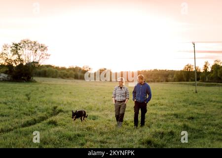 Coppia matura con cane che cammina sul campo durante il tramonto Foto Stock