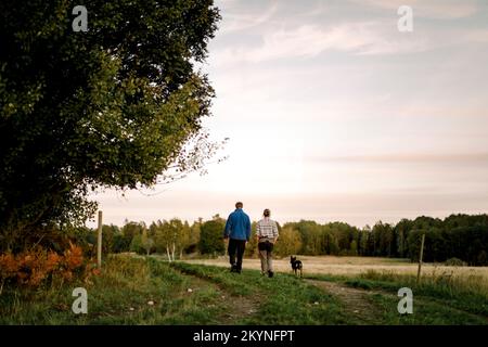 Vista posteriore di coppia con cane che cammina sul campo al tramonto Foto Stock
