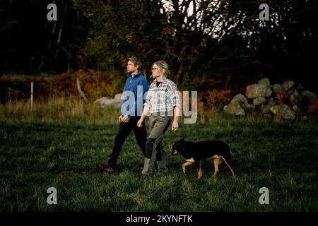 Coppia matura che cammina con il cane sul campo al tramonto Foto Stock