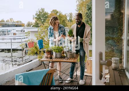 Giovane donna che aiuta l'uomo maturo facendo giardinaggio mentre si trova in piedi sul portico Foto Stock