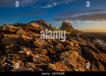 Castello di Lindisfarne costruito dal re Enrico VIII per proteggere l'ancoraggio della flotta nel porto di Santa Isola. Il Castello è costruito su un affioramento vulcanico e. Foto Stock