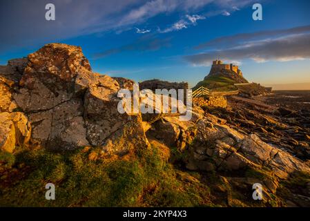 Castello di Lindisfarne costruito dal re Enrico VIII per proteggere l'ancoraggio della flotta nel porto di Santa Isola. Il Castello è costruito su un affioramento vulcanico e. Foto Stock